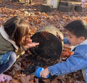 Young girl and boy outside, looking underneath a log.